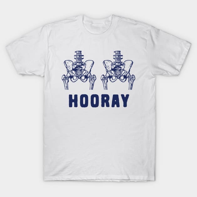 Hip Hip Hooray T-Shirt by Shirts That Bangs